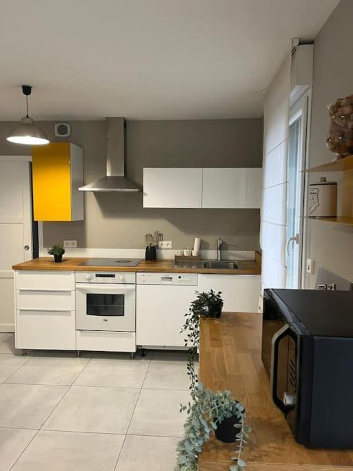 La Maison Du Bonheur 70 M² Saint-Amand-les-Eaux Kültér fotó