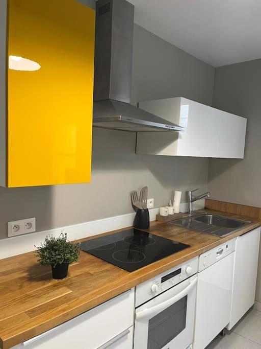 La Maison Du Bonheur 70 M² Saint-Amand-les-Eaux Kültér fotó